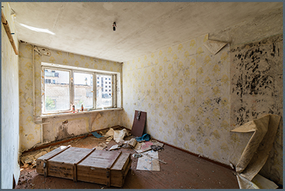 Carpet Repair After Flood Damage